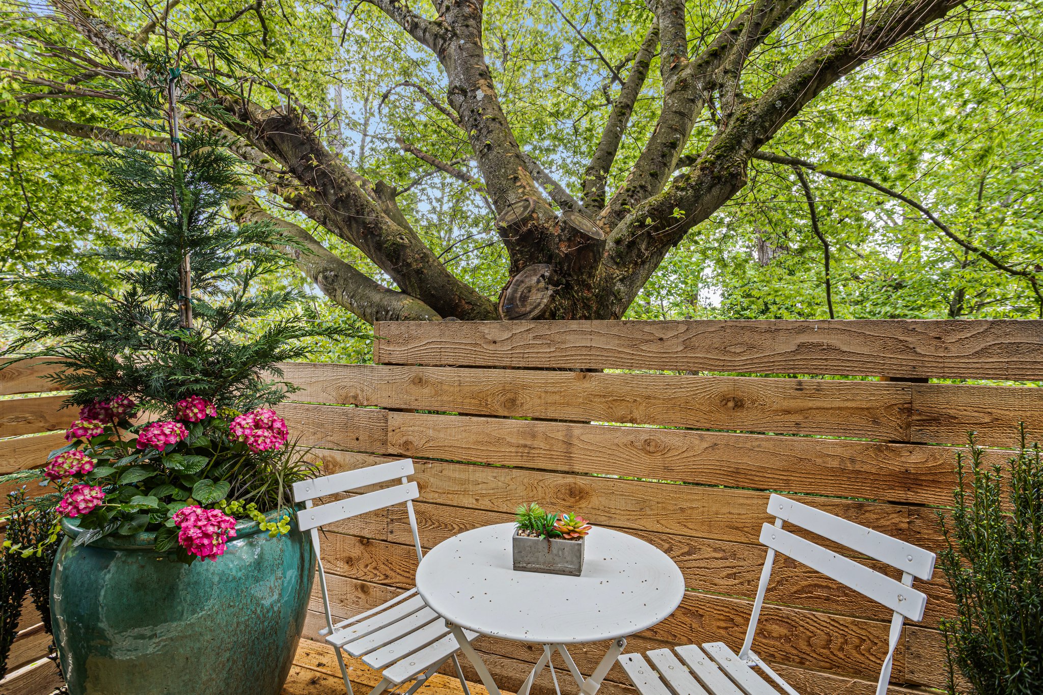 Private Backyard